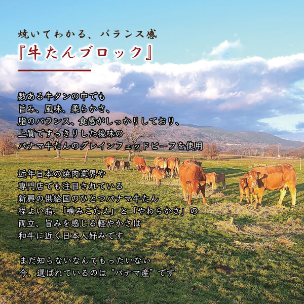 牛たん ブロック 1本