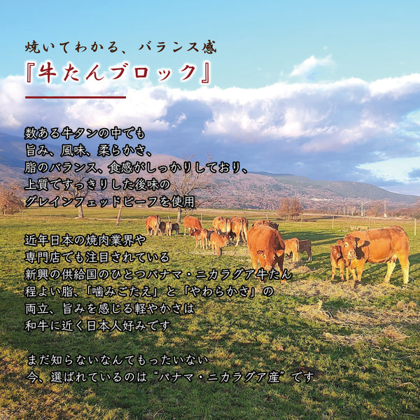 和牛の柔らかい牛たんブロック1本、ジューシーで焼き料理に最適。自然の美しい風景を背景にした写真。