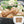 Load image into Gallery viewer, 牛たん生つくねのパック180gが盛り付けられた皿に置かれ、野菜が添えられた料理の画像。ジューシーで新鮮な牛たんの風味が楽しめる。
