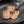 Load image into Gallery viewer, 薄切り牛たんの焼肉用がフライパンで焼かれている様子。色は淡い茶色で、ジューシーな肉質が特徴。焼き目がついて香ばしさが引き立つ。
