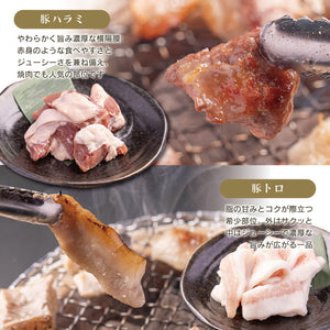 豚ハラミと豚トロの焼き肉プレート、ジューシーで食べ応えのあるホルモン5種食べ比べセットの写真。焼き網の上で焼かれた肉の質感や色合いがわかるアングル。