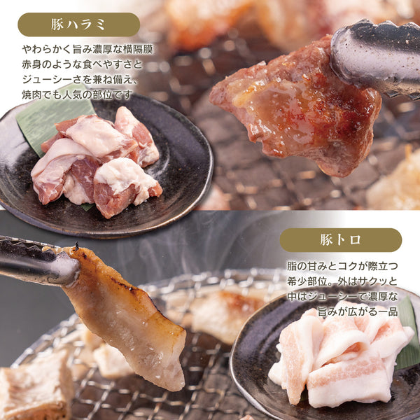 豚ハラミと豚トロの焼き肉プレート、ジューシーで食べ応えのあるホルモン5種食べ比べセットの写真。焼き網の上で焼かれた肉の質感や色合いがわかるアングル。