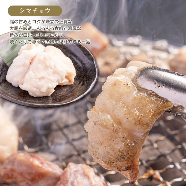 ホルモン5種食べ比べセットの画像。ジューシーな焼きホルモンが盛り付けられ、脂の甘みとコクが引き立つ美味しさを表現。食材の質感と色合いが際立つアングル。