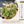 Load image into Gallery viewer, 国産鶏せせりのレモンペッパー味とガーリックペッパー味を使用したレンジ蒸し料理。新鮮な青じそと野菜がトッピングされた、食欲をそそる一皿。
