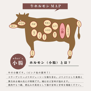 国産牛ホルモン小腸300gの詳細を示すイラスト。牛の体の部位に小腸の位置を示し、ホルモンの特徴や調理法の説明が含まれています。
