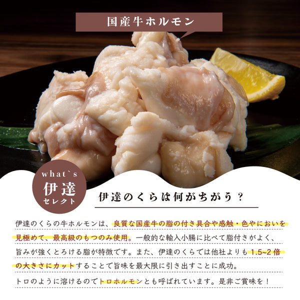 国産牛もつ鍋セットの盛り付け写真。新鮮な牛ホルモンが特徴で、レモンや調味料と共に美味しそうに盛り付けられています。2〜3人前の量で、家庭で楽しむ鍋料理に最適です。