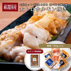 大トロホルモン焼きの盛り付け画像。塩味、みそ味、醤油味、スタミナ味の4種類が並び、ジューシーで食欲をそそる見た目。