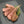 Load image into Gallery viewer, ラムラック　(低温調理済み)

